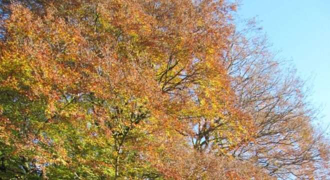 Geführte Wanderung -