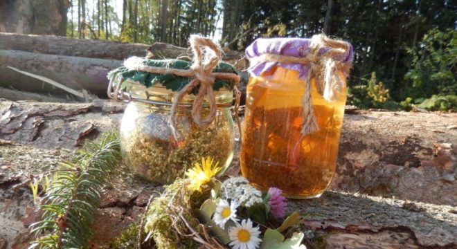 Die Heilkraft der Natur -