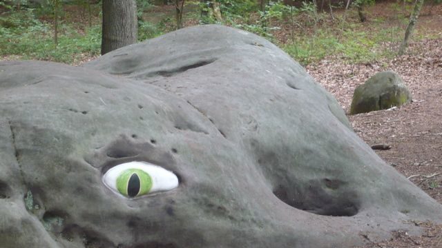Kunst, Wald und Natur am 3. Juli um 13 Uhr -