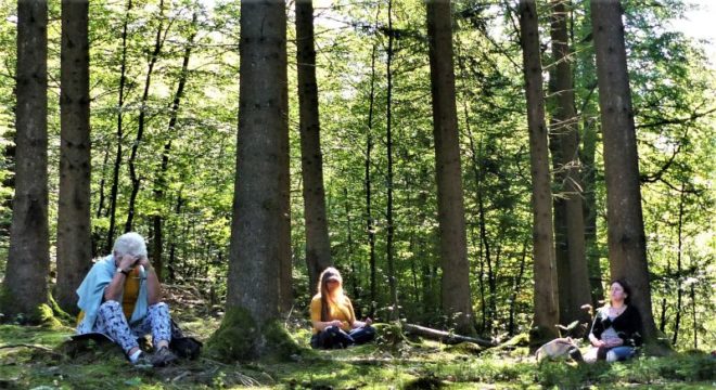 Waldbaden am 27. Juni -